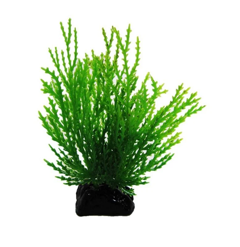 Resun Planta Plastic Willow Moss Green 8 cm