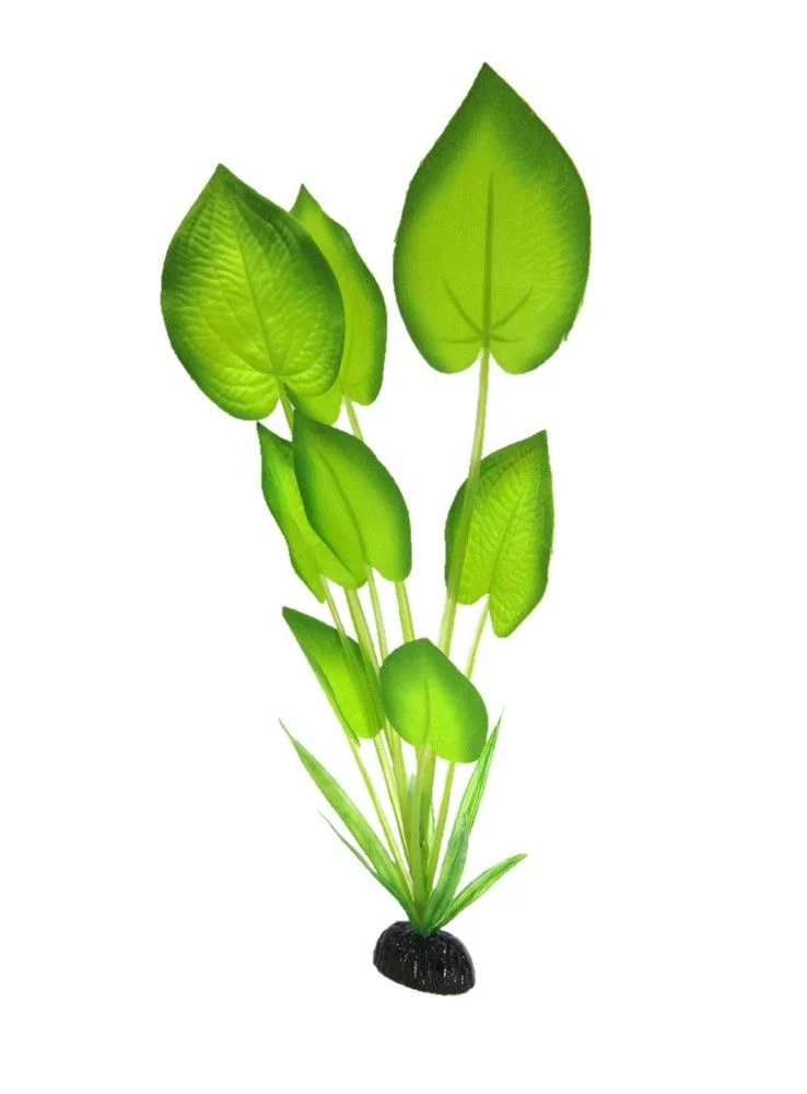 Resun Planta Matase Echinodorus Horizontalis 20 cm