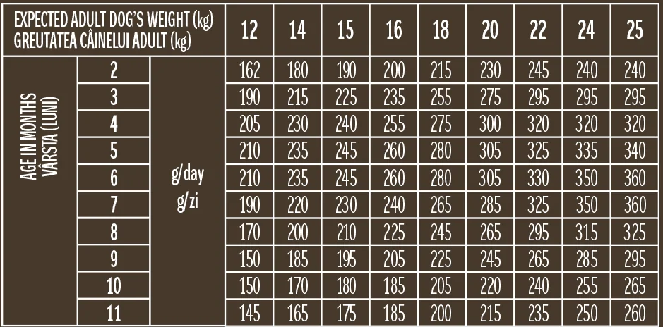Dog Concept Puppy & Junior 15 kg