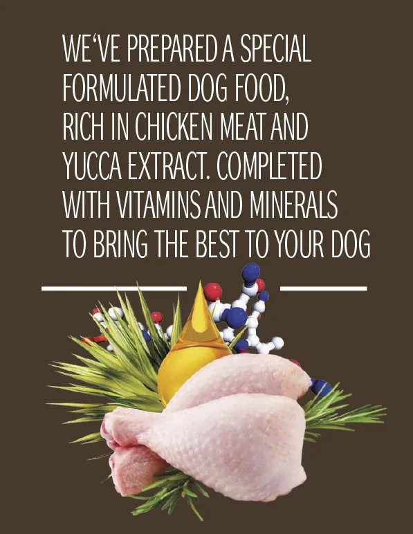 Dog Concept Puppy & Junior 15 kg