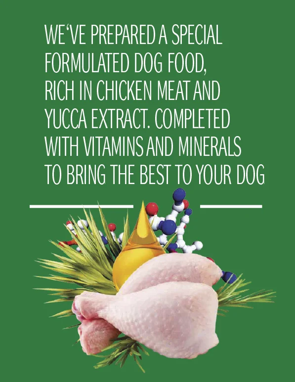 Dog Concept Adult Regular 15 kg