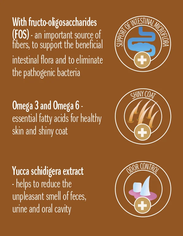 Dog Concept Adult Large Breed 15 kg