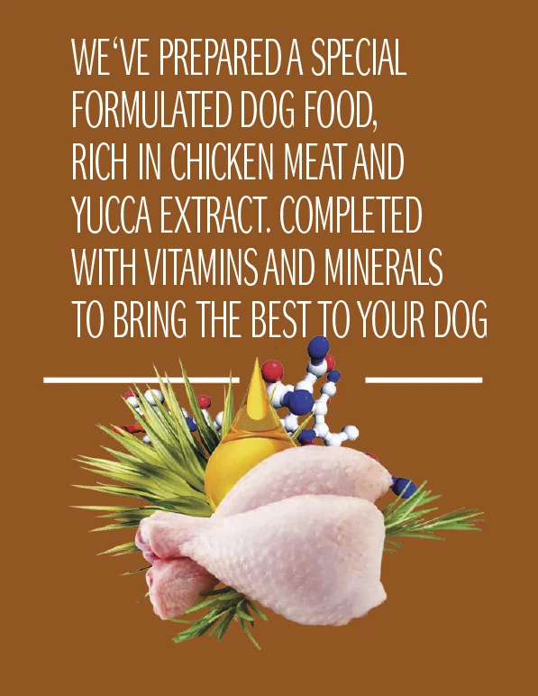 Dog Concept Adult Large Breed 15 kg