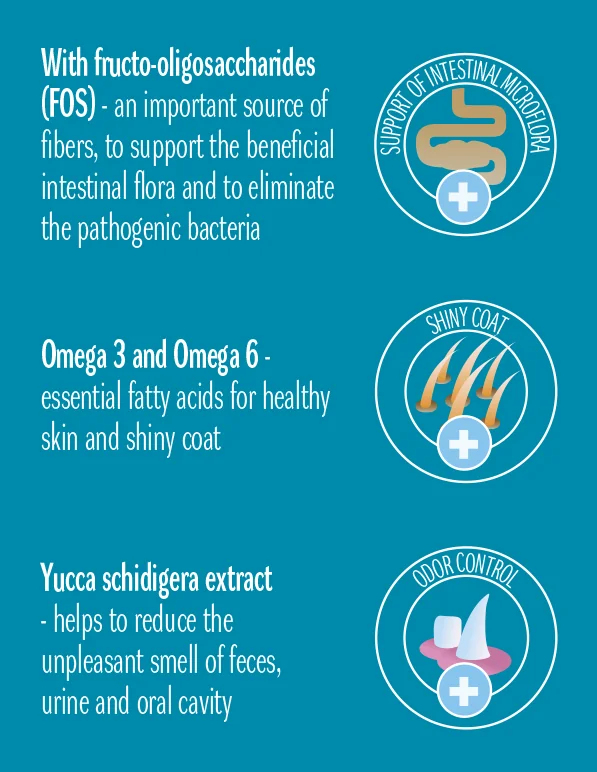 Dog Concept Adult Mini Breed 8 kg