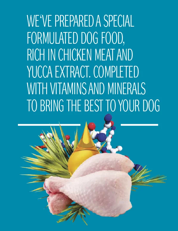 Dog Concept Adult Mini Breed 8 kg