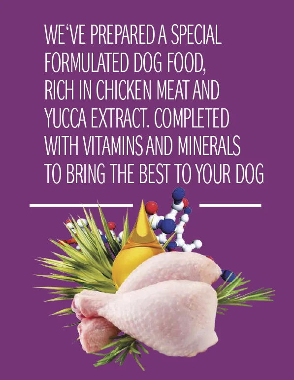 Dog Concept Adult Sensitive 15 kg