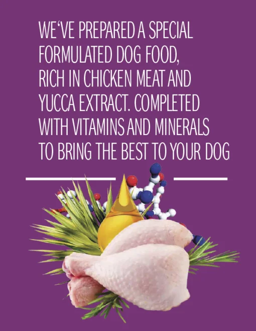 Dog Concept Adult Sensitive 15 kg