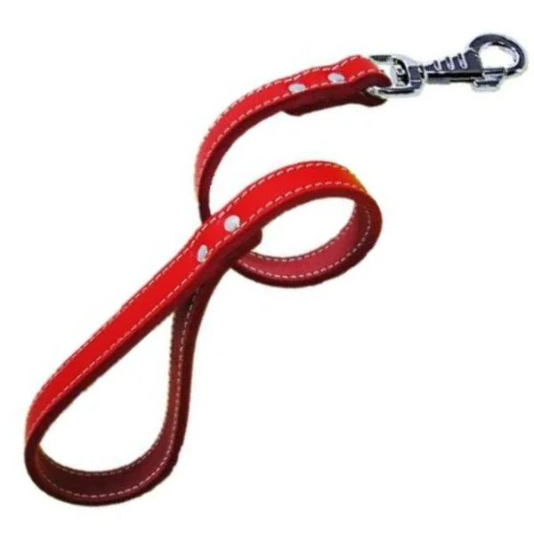 Lesa Pet Expert Clasic 1,8x60 cm Rosu Nr.5