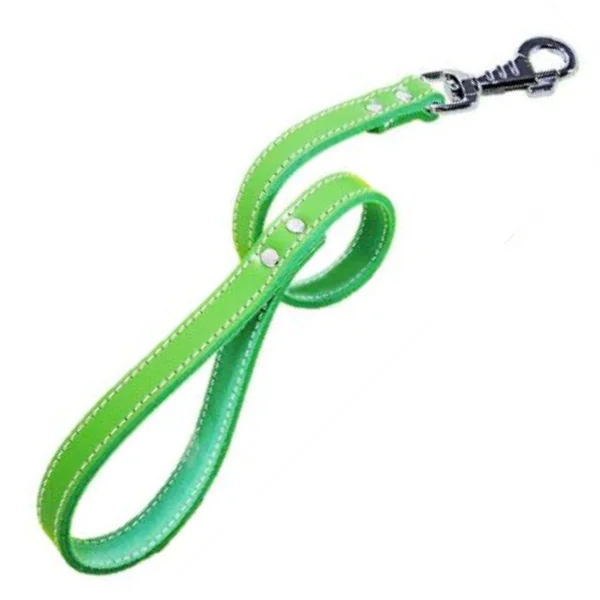Lesa Pet Expert Clasic 1,8x60 Cm Verde Nr.5