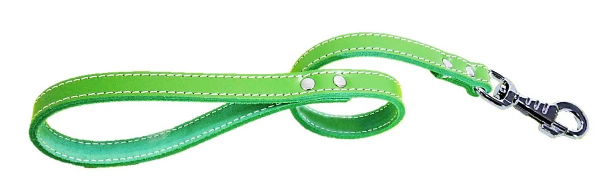 Lesa Pet Expert Clasic 1,8x60 Cm Verde Nr.5