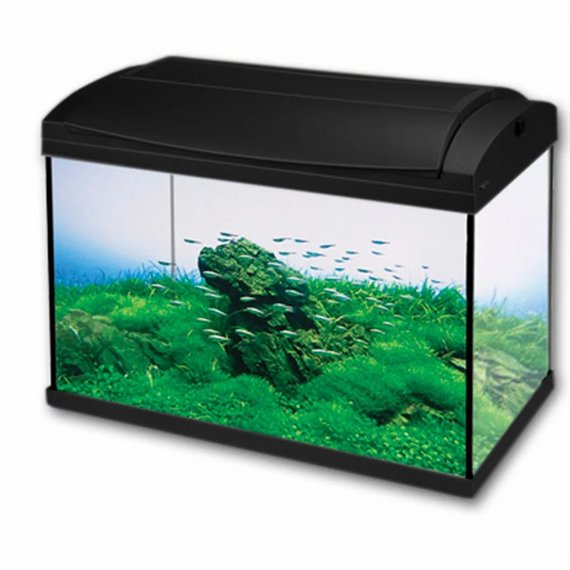 Hailea Acvariu F60 Negru 60l