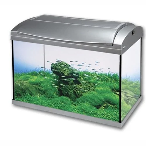 Hailea Acvariu F60 Argintiu 60l