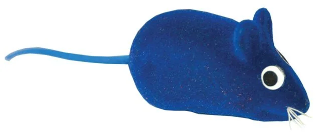 Jucarie Soricel Color