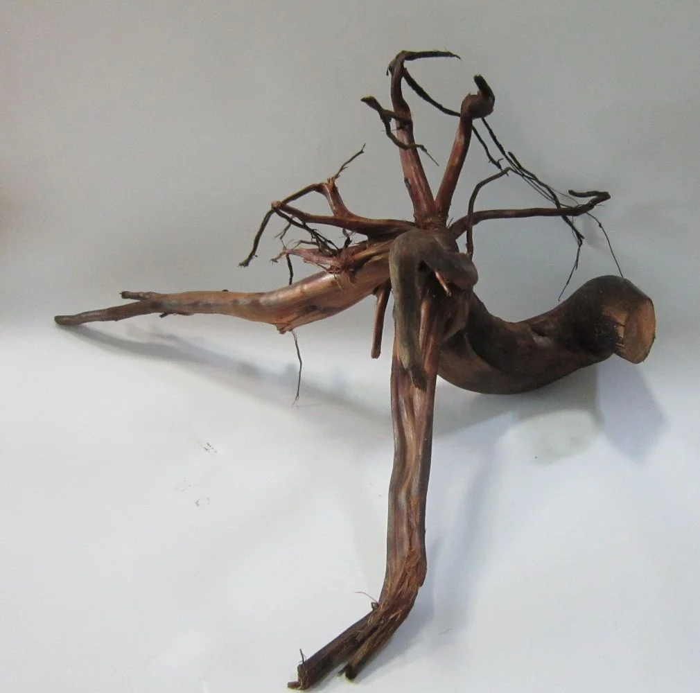 Radacina Umeda Tip 4. XXL