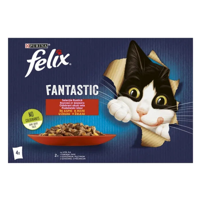 Felix Fantastic Plic Vita/Pui 4 x 85G