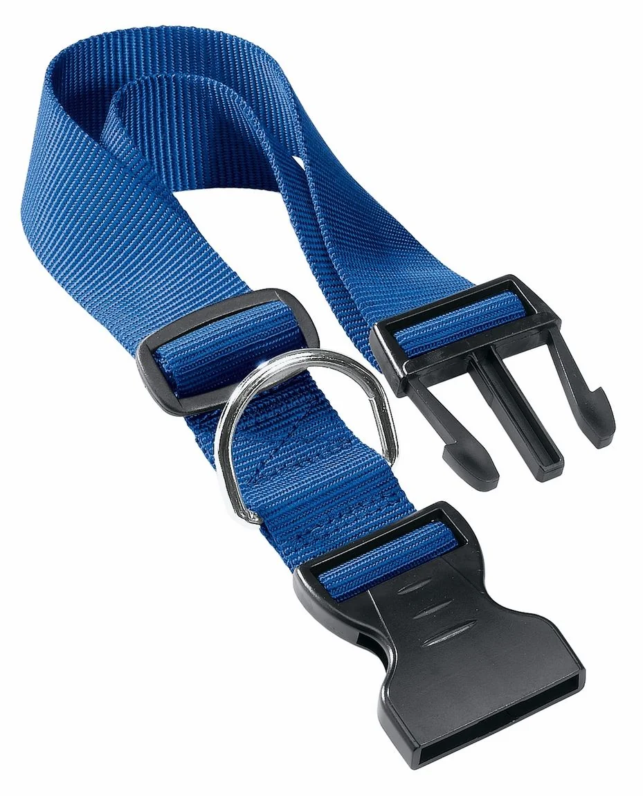 Ferplast Zgarda Silon Club C 25/70 Albastru