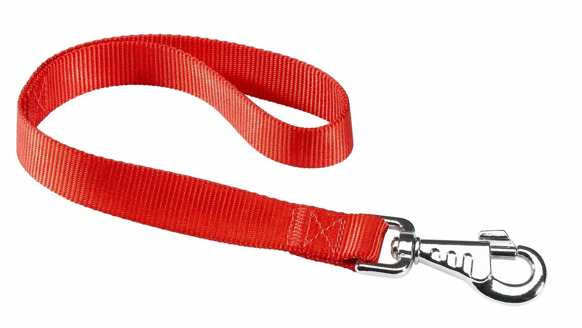 Ferplast Lesa Silon Club GM 2.5x45 cm