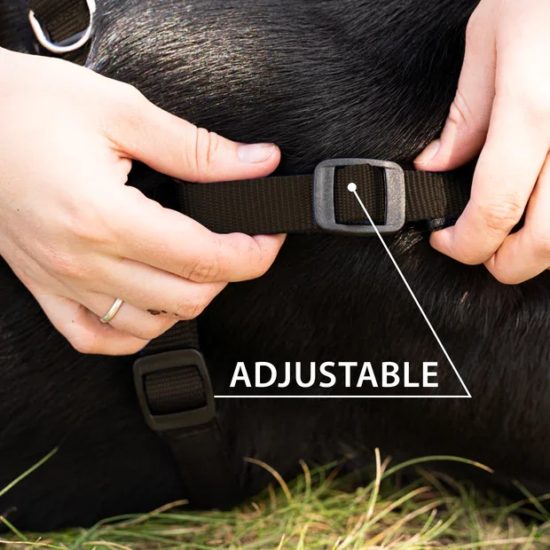 Ferplast Ham Daytona Negru