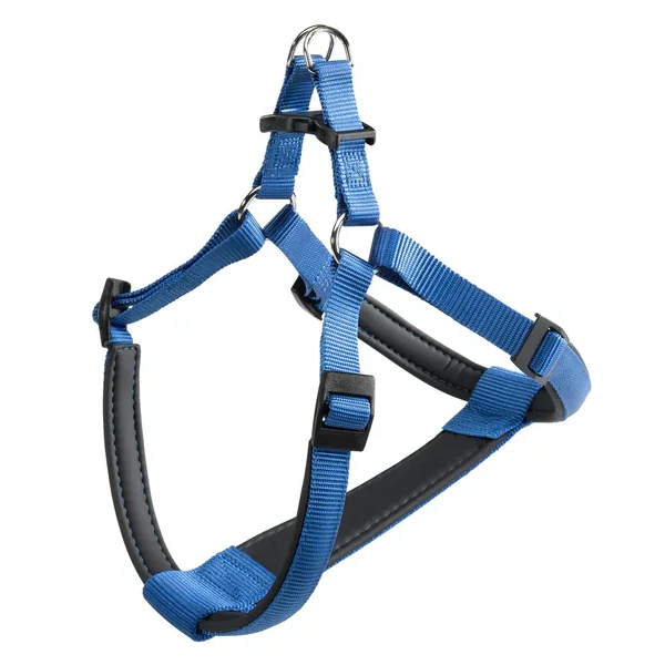 Ferplast Ham Daytona Albastru