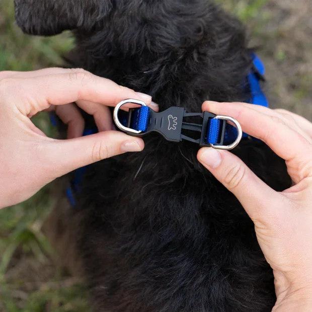 Ferplast Ham Daytona Albastru