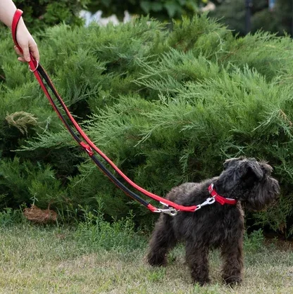 Ferplast Lesa Daytona Reglabila GA 2x200 cm Rosu