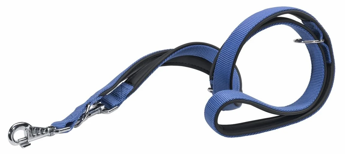 Ferplast Lesa Daytona Reglabila GA 2x200 cm Albastru