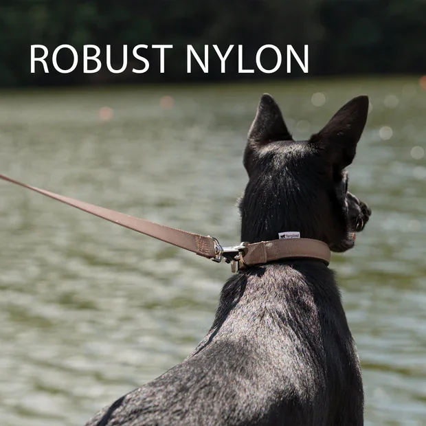 Ferplast Lesa Daytona Reglabila GA 2x200 cm Albastru