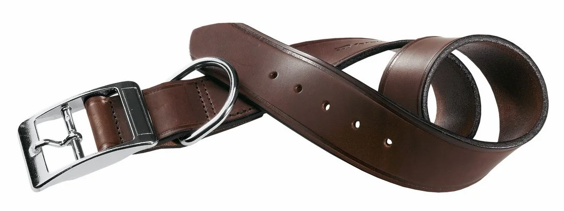 Ferplast Zgarda VIP C