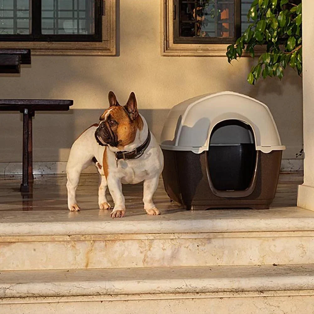 Ferplast Cotet Plastic Kenny 01