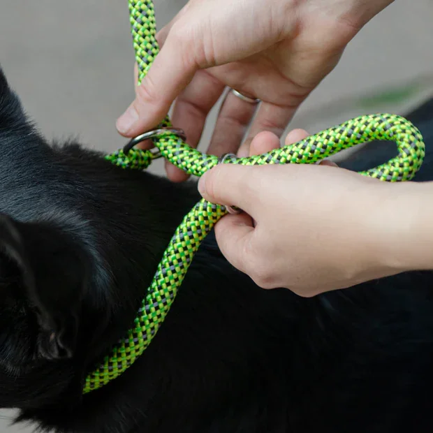 Ferplast Lesa Sport GC 0.8x160 cm