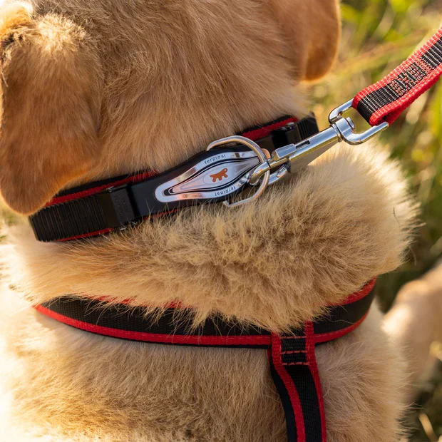 Ferplast Lesa Ergocomfort GM25/55 Rosu