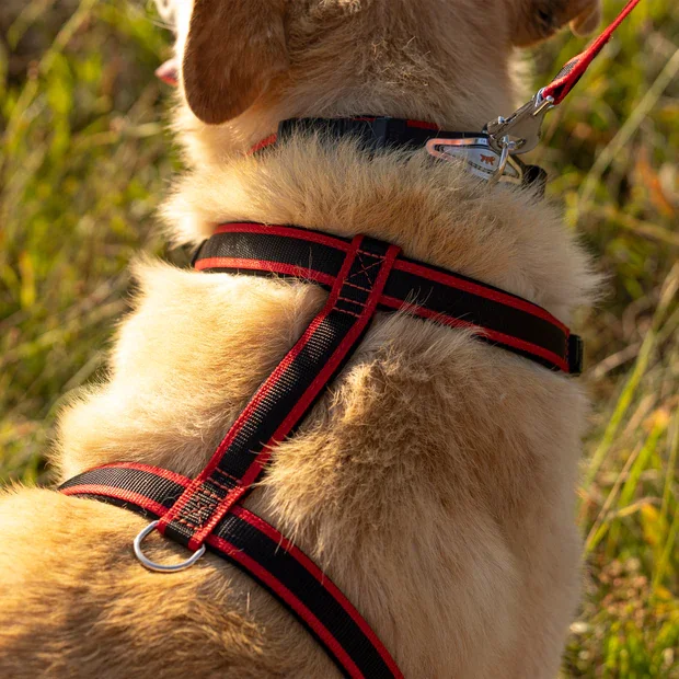 Ferplast Ham Ergoconfort Rosu