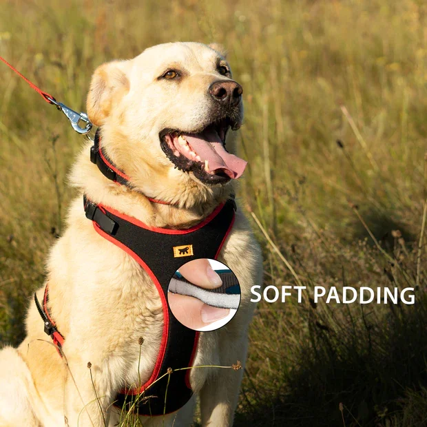 Ferplast Ham Ergoconfort Rosu