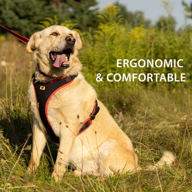 Ferplast Ham Ergoconfort Rosu