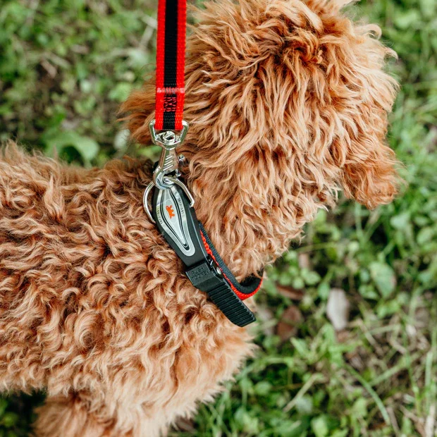 Ferplast Lesa Ergocomfort G