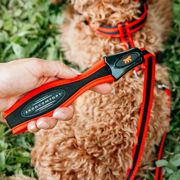 Ferplast Lesa Ergocomfort G