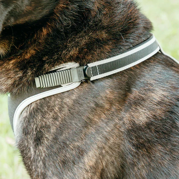 Ferplast Ham Ergoconfort Gri