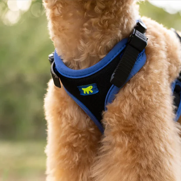 Ferplast Ham Ergoconfort Albastru