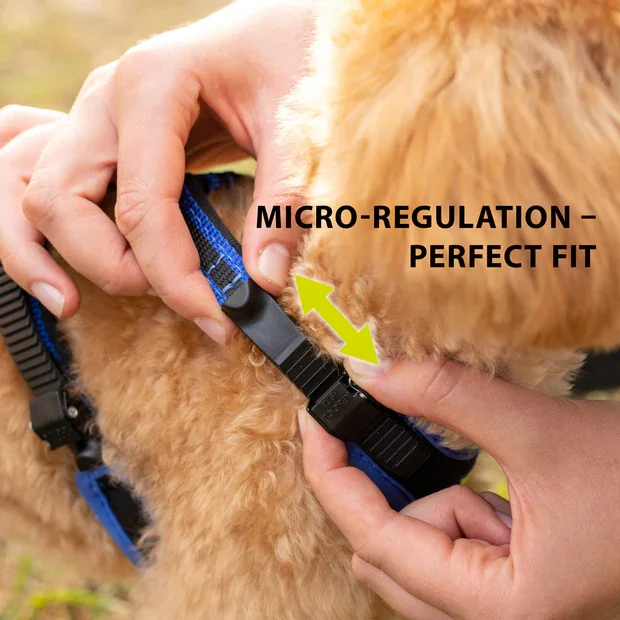 Ferplast Ham Ergoconfort Albastru