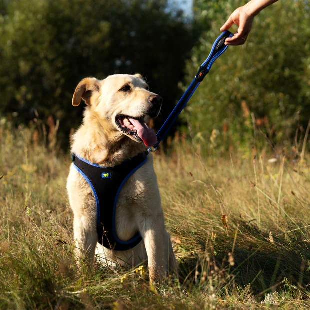 Ferplast Ham Ergoconfort Albastru