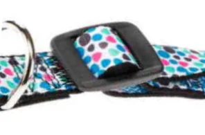 Ferplast Zgarda Arlecchino C 2.5X70 cm