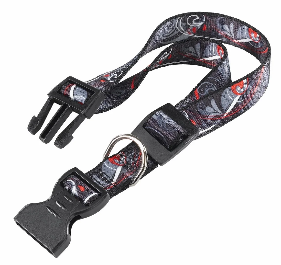 Ferplast Zgarda Arlecchino C 2.5X70 cm