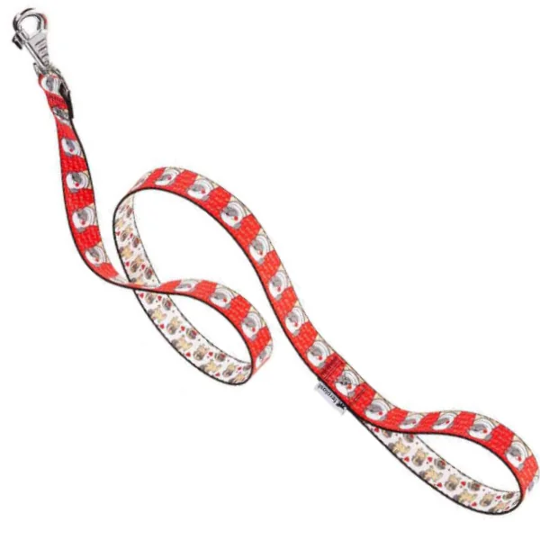 Ferplast Lesa Arlecchino G