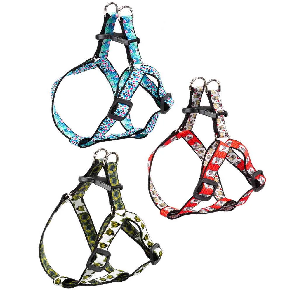 Ferplast Ham Arlecchino