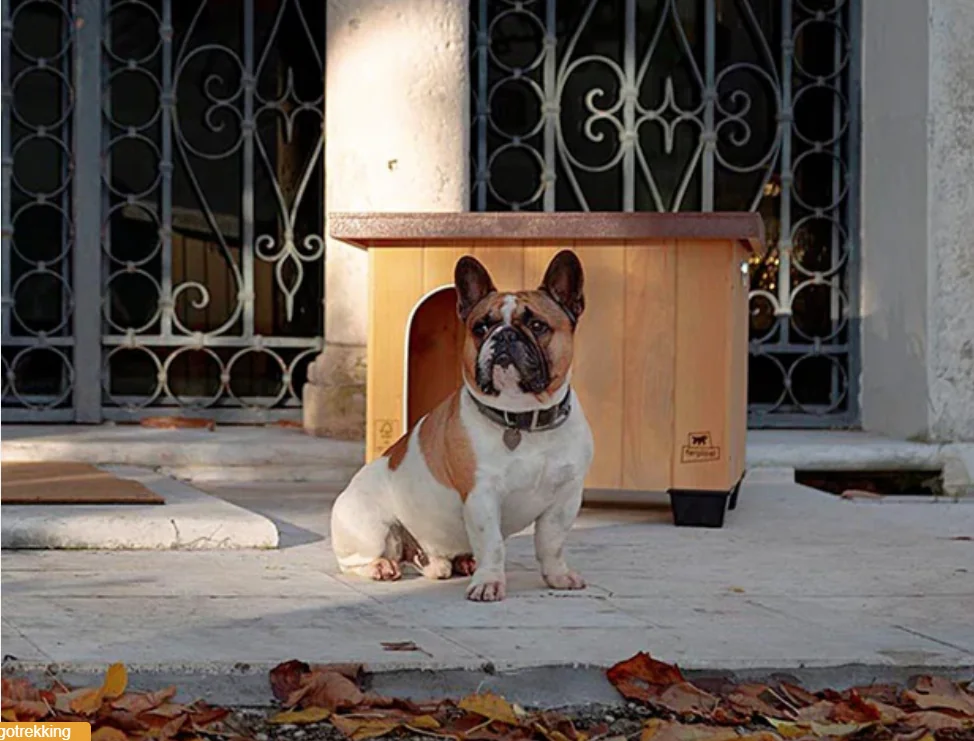 Ferplast Cotet Lemn Baita 60