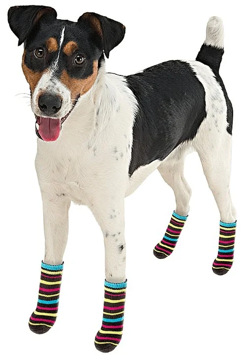 Ferplast Sosete Antislip L 4 Buc