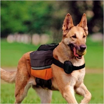 Ferplast Rucsac Caine Dog Scout