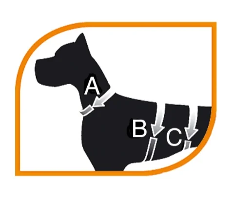 Ferplast Rucsac Caine Dog Scout