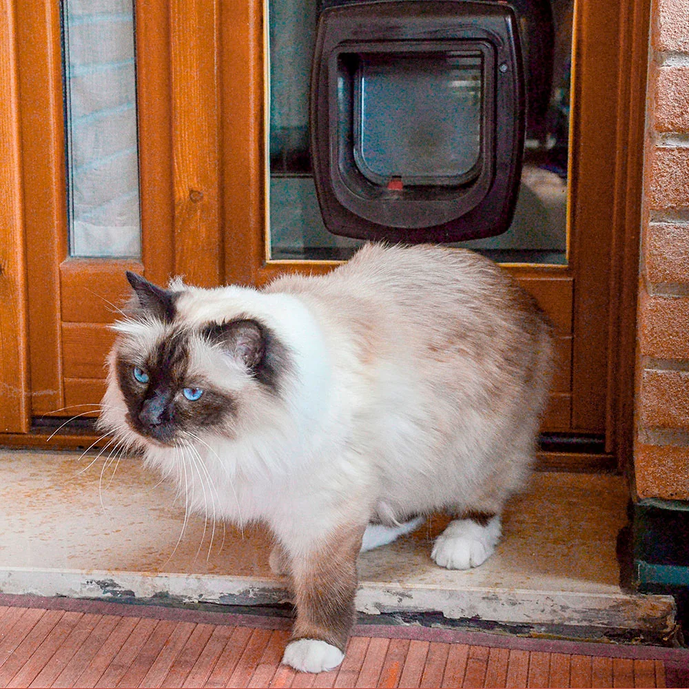 Ferplast Usa Swing Microchip