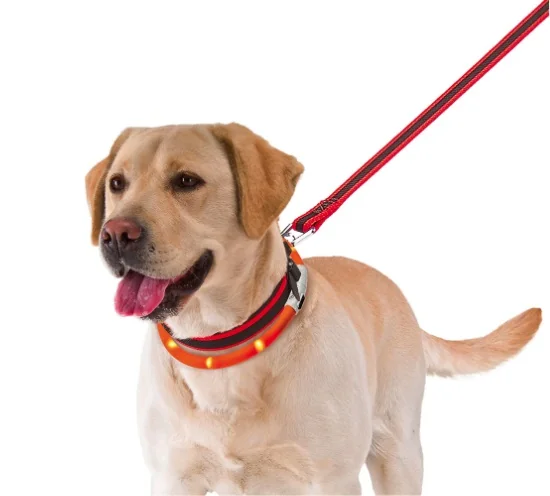 Ferplast Zgarda Luminoasa